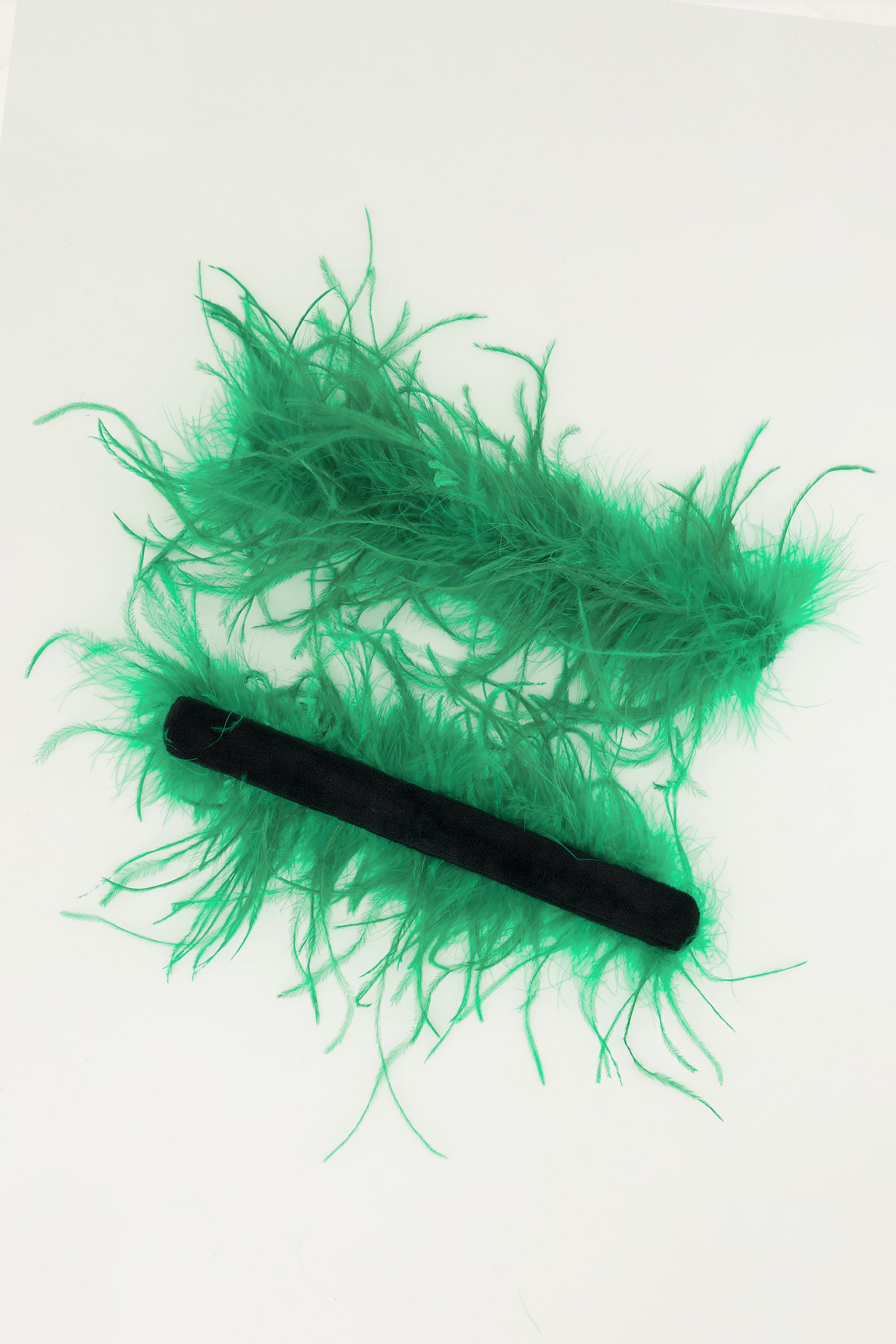 Bottega Green
